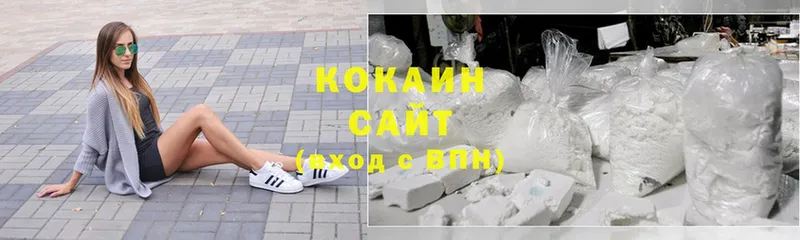 купить закладку  Канаш  Cocaine FishScale 